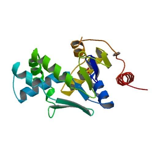 Enzyme Activity Measurement of (d)CMP Kinase